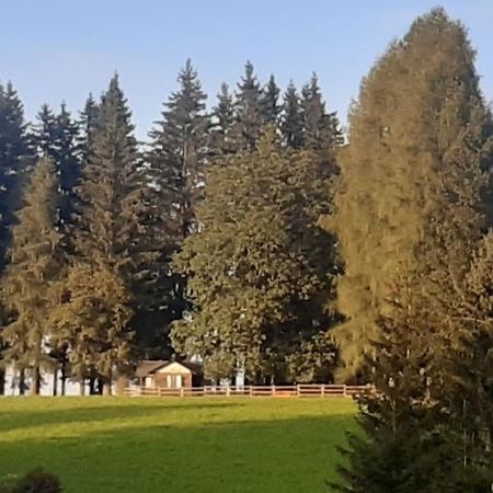 Vila Almhuette Waldenstein  Exteriér fotografie