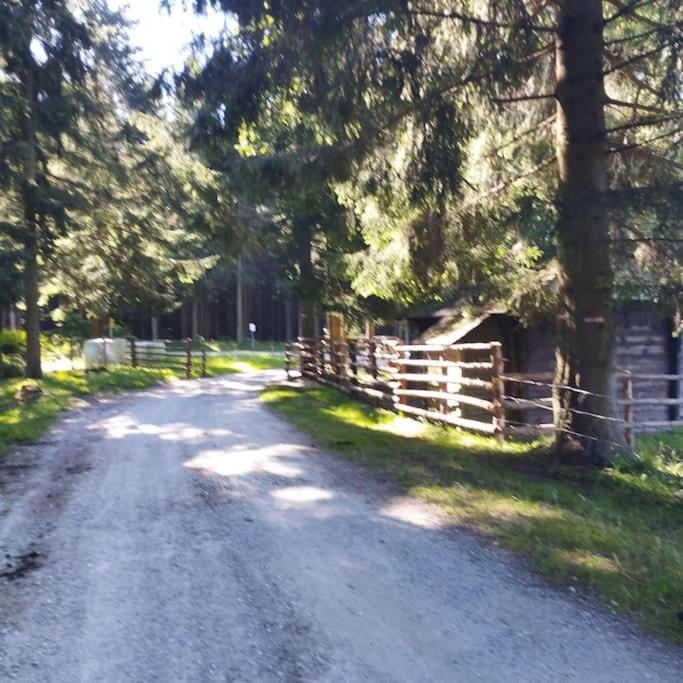 Vila Almhuette Waldenstein  Exteriér fotografie