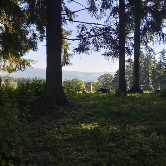 Vila Almhuette Waldenstein  Exteriér fotografie