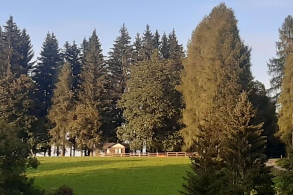 Vila Almhuette Waldenstein  Exteriér fotografie